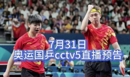 乒乓球直播视频直播,激情对决，谁将问鼎冠军宝座？